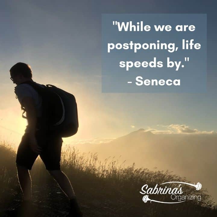 While we are postponing, life speeds by by Seneca square image