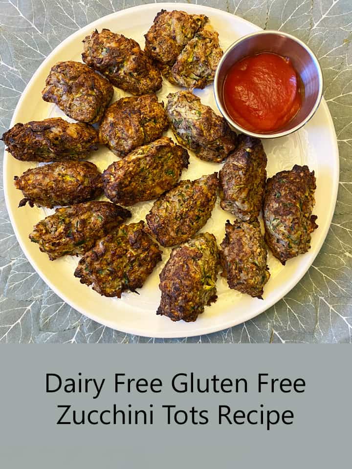 Dairy Free Zucchini Tots Recipes featured image by SabrinasOrganizing
