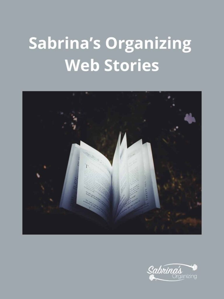 Sabrina's Organizing Web Stories - featured image