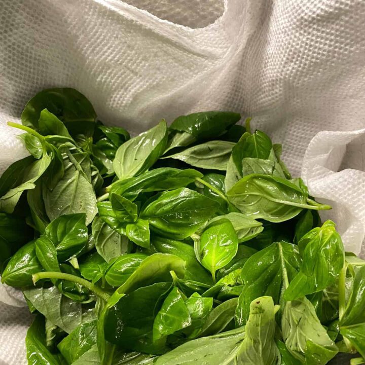 Rinse and dry basil on paper towel