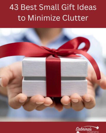 43 of the Best Small Gift Ideas in Minimize Clutter - featured image