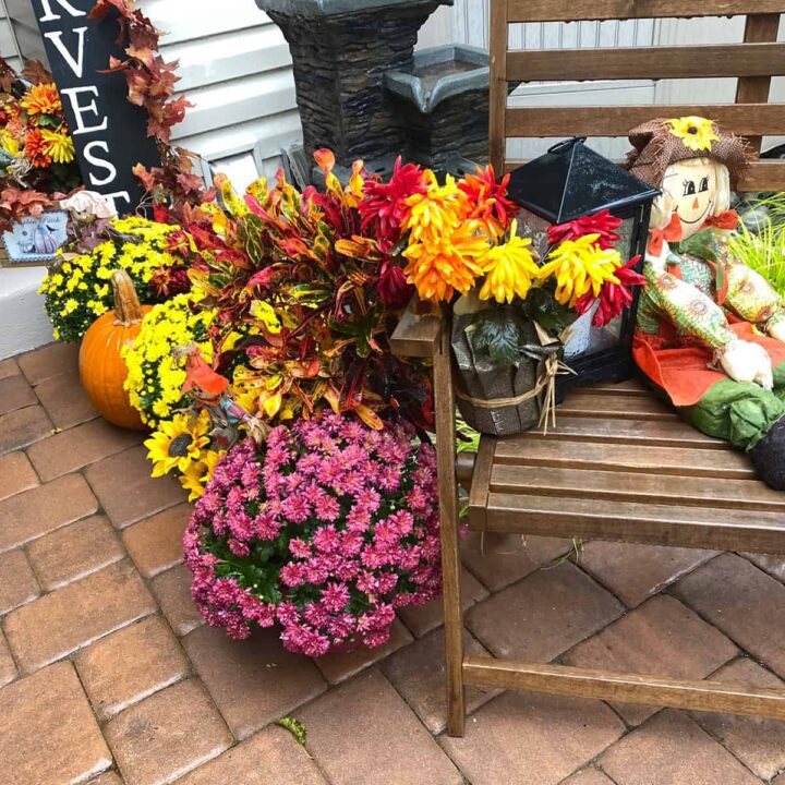 bench and Front view of the collection of fall decorations on the right side of the walkway