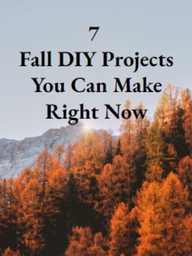 7 Fall DIY Projects You Can Do Right Now