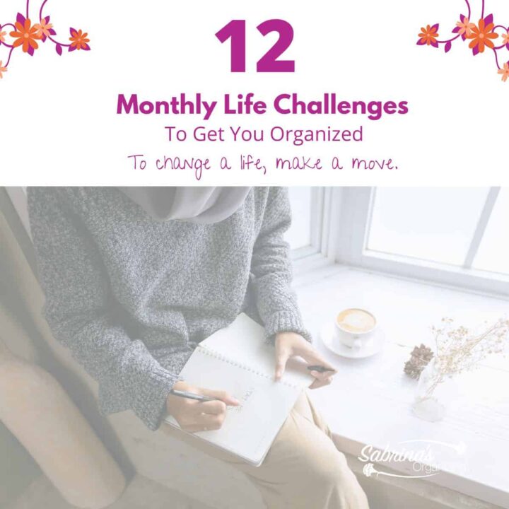 12 Monthly Life Challenges - square image