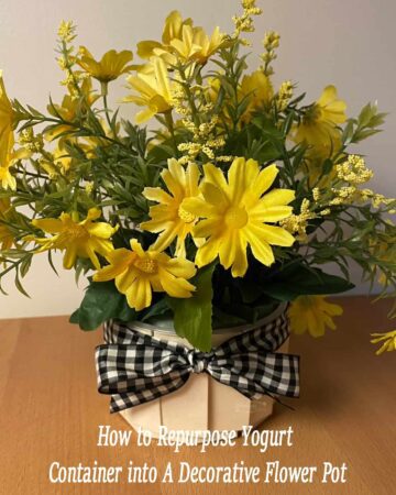 How to Repurpose Yogurt Container into a Decorative Flower Pot Featured image
