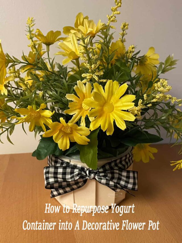 How to Repurpose Yogurt Container into A Decorative Flower Pot