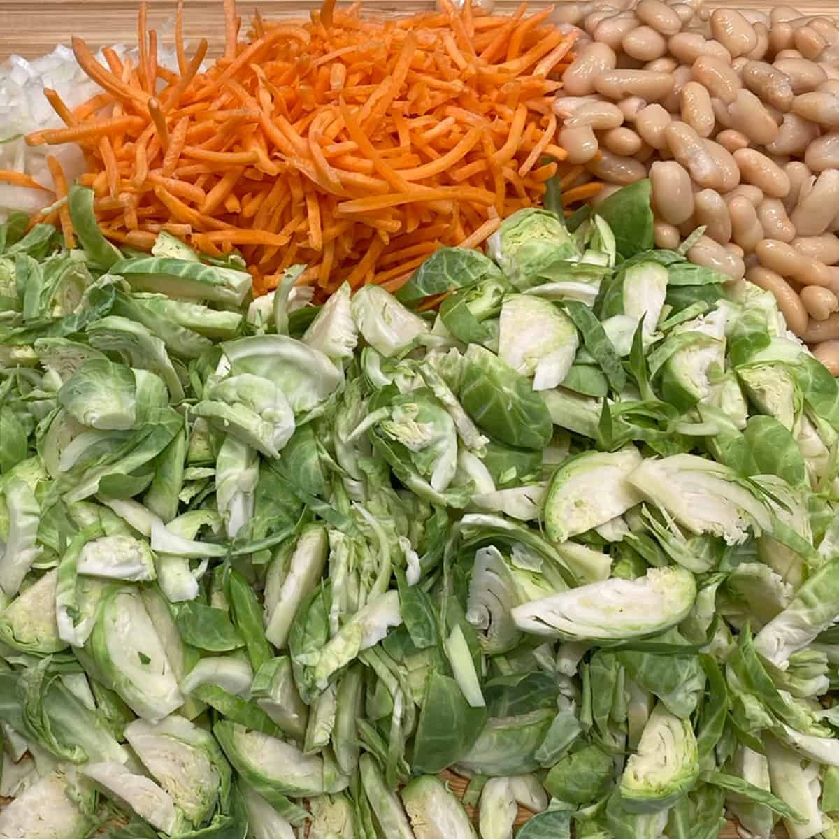 Sauteed Brussel Sprouts and Carrots Warm Salad Recipe