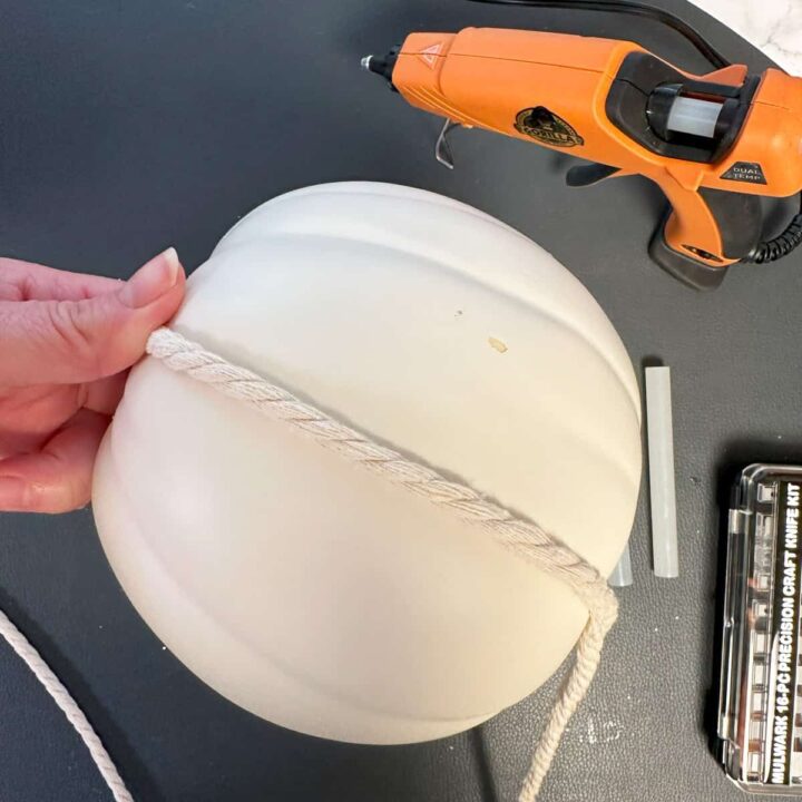 Wrap the rope from the top to the bottom of the pumpkin and hot glue