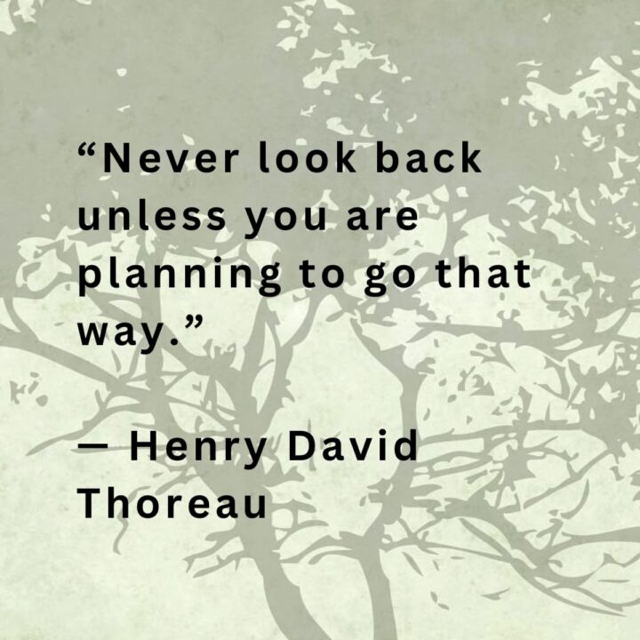 Never look back by Henry David Thoreau - tree in background quote on top