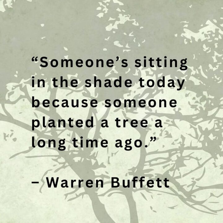 Someone's sitting in the shade today Quote by Warren buffett with tree in background