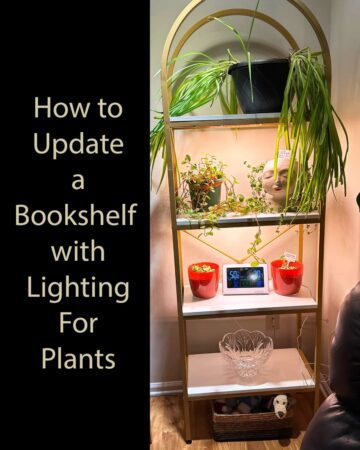 How to Update a Bookshelf with light for plants - featured image