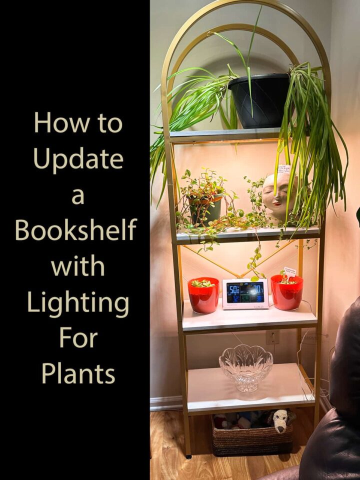 How to Update a Bookshelf with light for plants - featured image
