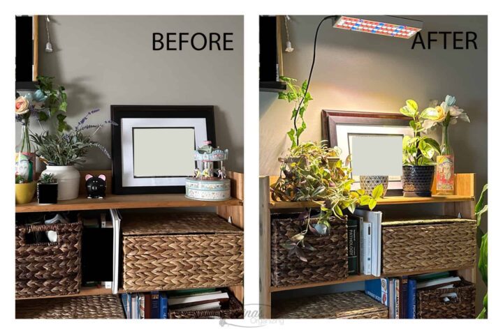 Before and after bookcase lighting change