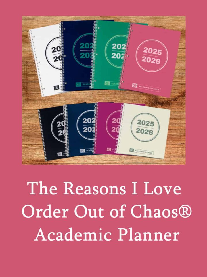 The Reasons I Love Order Out of Chaos® Academic Planner pinterest image