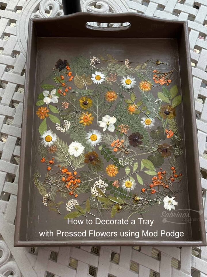 How to Decorate a Tray with Pressed Flowers using Mod Podge - title on image