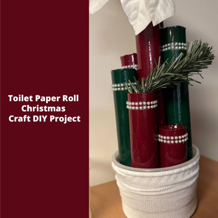 Toilet Paper Roll Christmas Craft DIY Project with title square image