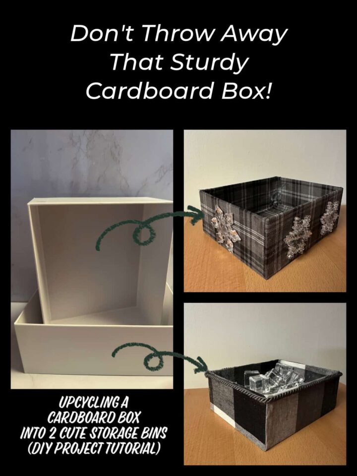 Showing the cardboard box with the two after images and the title of the post in a rectangle pinterest sized image