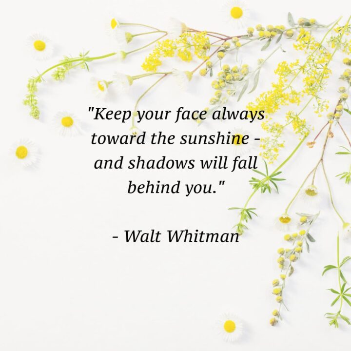 yellow flowers with the quote overlay in the center - square image
