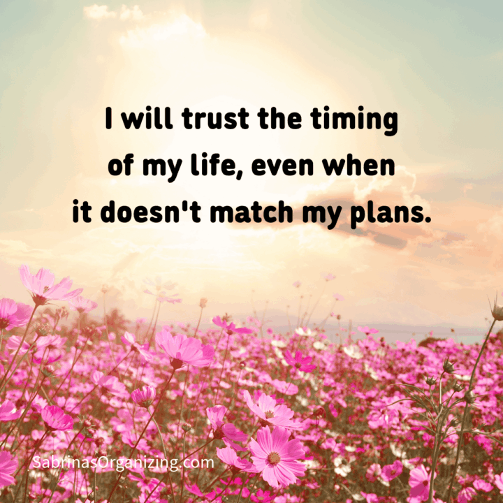 flower background with affirmation on it. I will trust the timing of my life, even when it doesn't match my plans. Square image