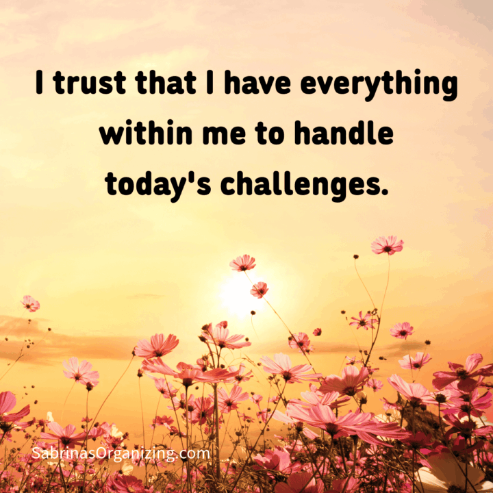 flower background with affirmation on it.I trust that I have everything within me to handle today's challenges. Square image