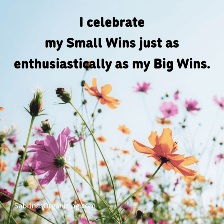 flower background with affirmation on it. I celebrate my small wins just as enthusiastically as my Big Wins. Square image