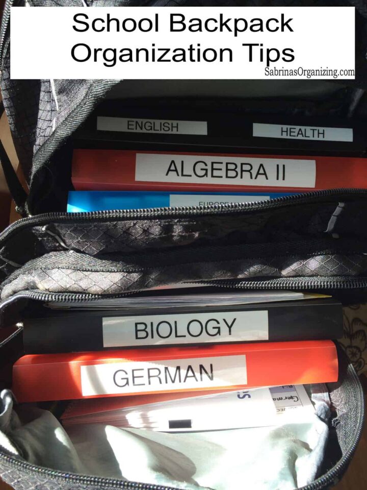 title of the post at the top image - all the things in the bag - pinterest image