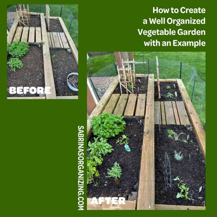 square image - title at top right - before and after garden image