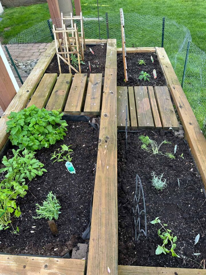 side view of vegetable raised bed garden