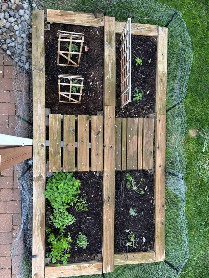 top view of vegetable raised bed garden - when just planted