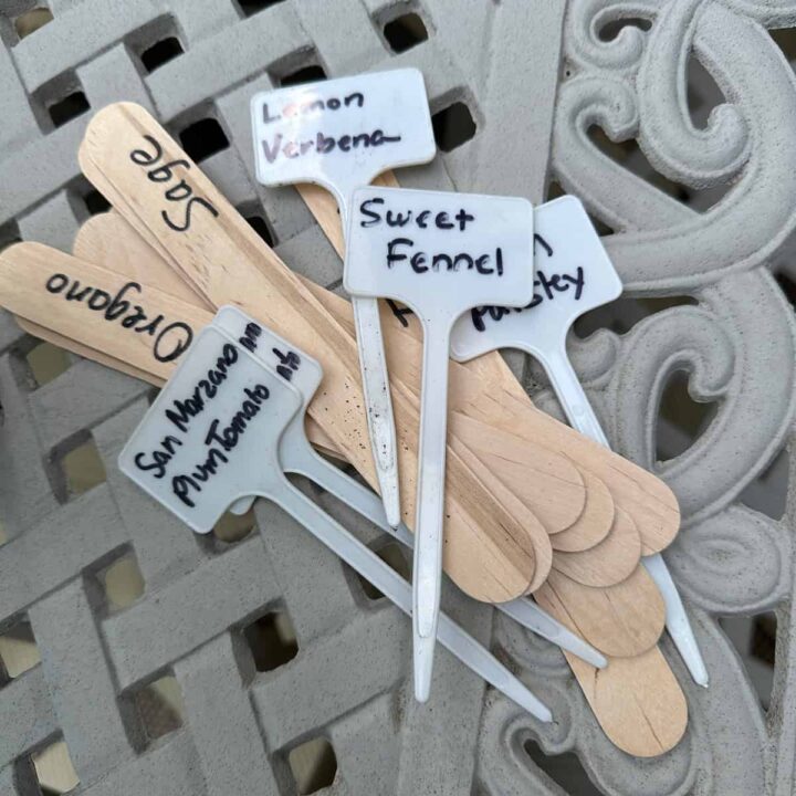 large popsicle sticks and tags for the plants - labeled with the plant name on them - square image