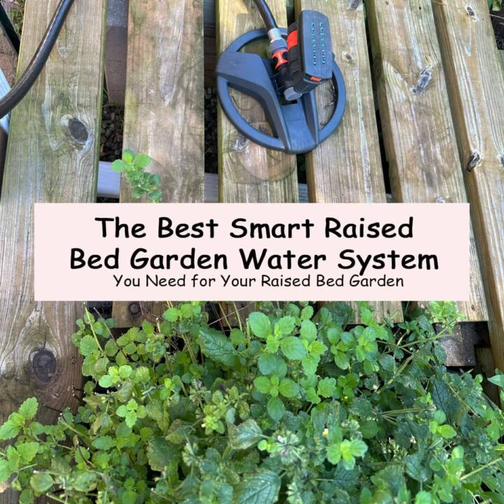 A image with a sprinkler (round) in the middle of my raised bed with the title at the center - square image