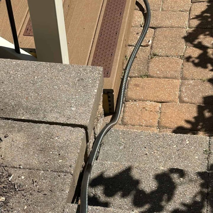 a hose pushed up against the steps so not to trip on the hose