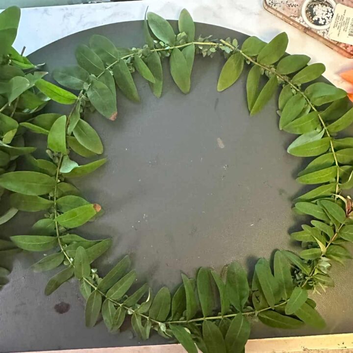 Wreath with one layer of branch attached to it