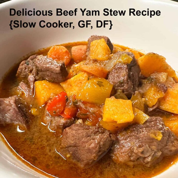 finished bowl of stew with title at the top - square image