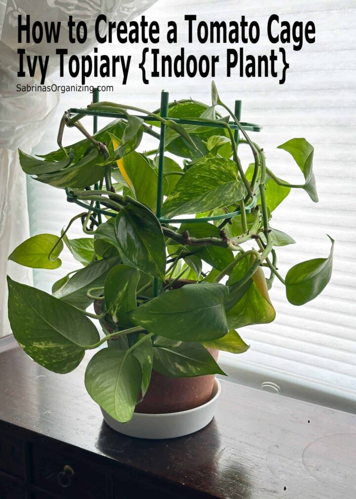 Title pinterest image - at the top corner says the title - plant with tomato cage on a wood cabinet.