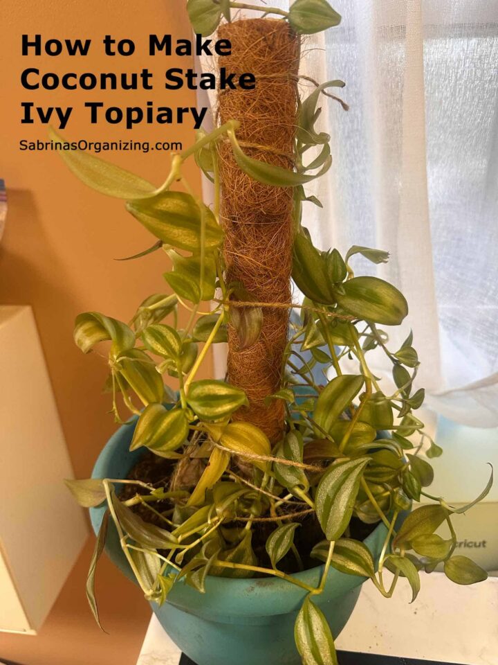 Image pinterest size - title at the top right - after plant in the center