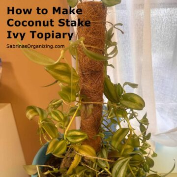 Image square - title at the top right - after plant in the center