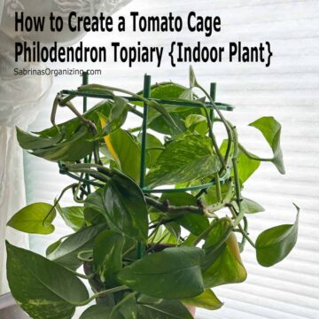 Title square image - at the top corner says the title - plant with tomato cage on a wood cabinet.