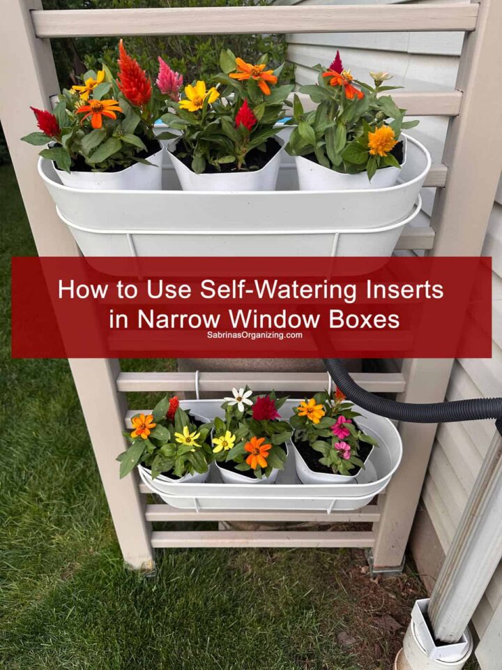 the window boxes with flowers in them and the title of the post at the center - pinterest image