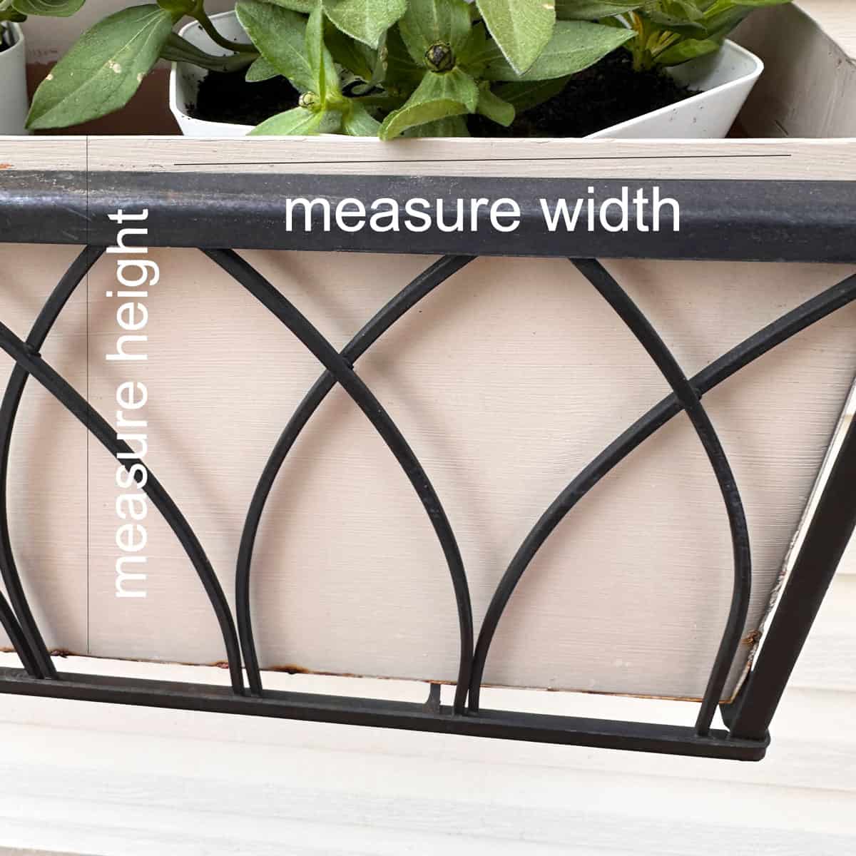 writing on the window box image - square - it says measure width and measure height