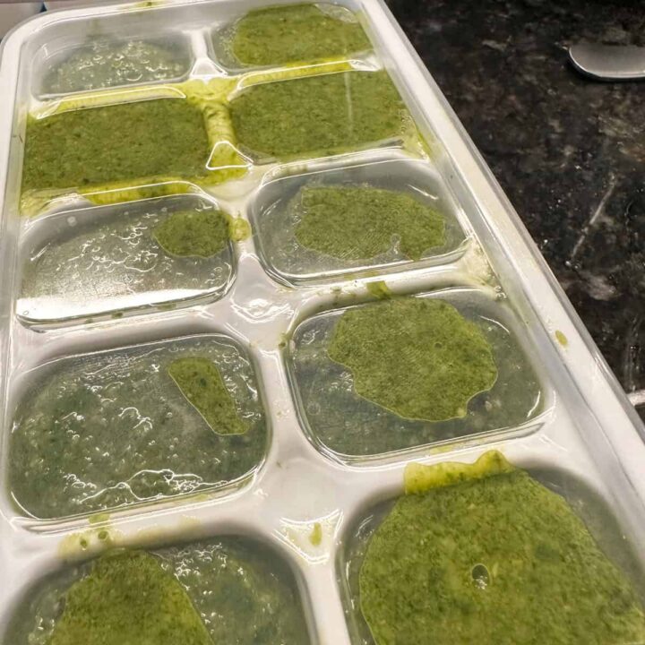 Basil Pesto in Ice cube tray with lid