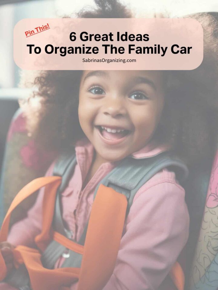 6 Great Family Car Organizing Ideas
