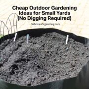Cheap Outdoor Gardening Ideas for Small Yards (No Digging Required)