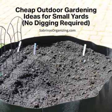 Cheap Outdoor Gardening Ideas for Small Yards (No Digging Required)