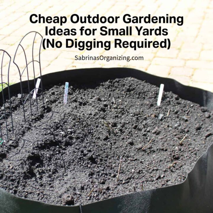 Cheap Outdoor Gardening Ideas for Small Yards (No Digging Required)
