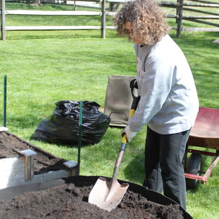 Pouring soil in the bag garden
