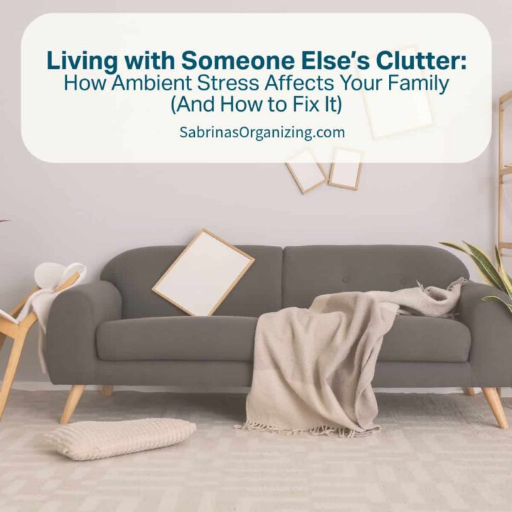 Living with Someone Else's Clutter: How Ambient Stress Affects Your Family (and how to fix it)