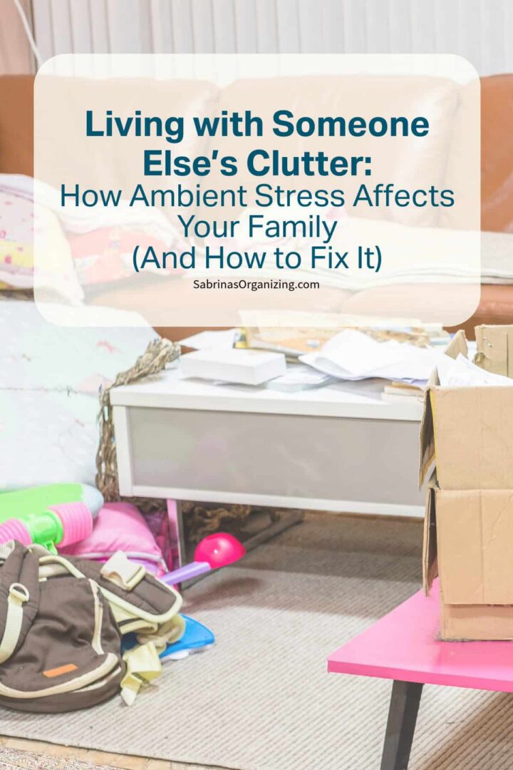 Living with Someone Else's Clutter: How Ambient Stress Affects Your Family (and how to fix it)