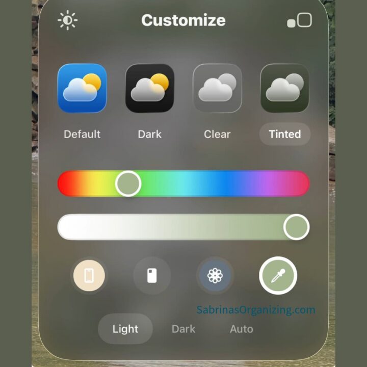 the color customization option