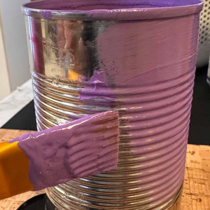 Paint the outside of can